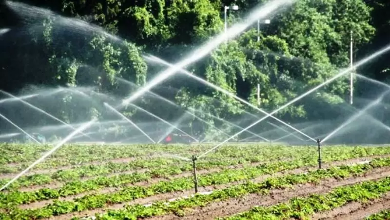 علاج ملوحة المياه والتربة للزراعة